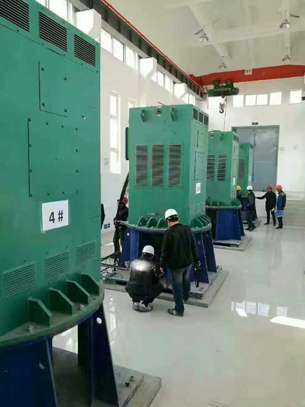 Y560-2某污水处理厂使用我厂的立式高压电机安装现场