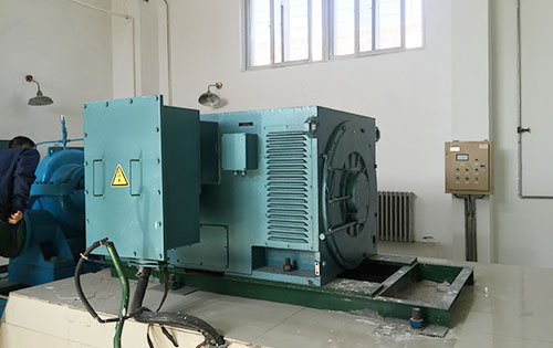 Y560-2某水电站工程主水泵使用我公司高压电机生产厂家
